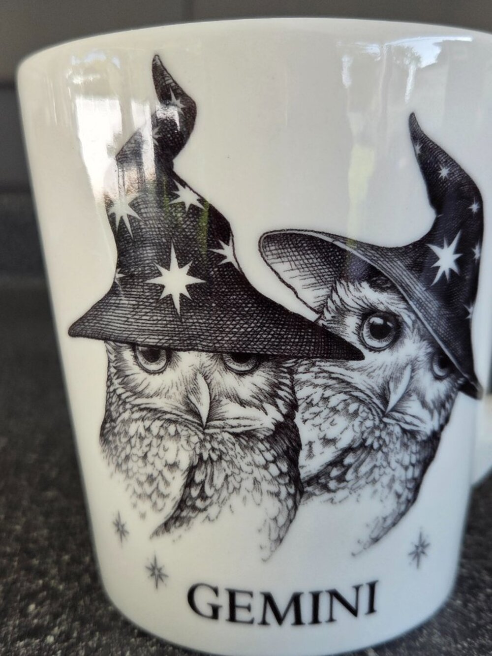 Williams Sonoma Rory Dobner Gemini Zodiac 20 oz Coffee Mug Two Owls Celestial